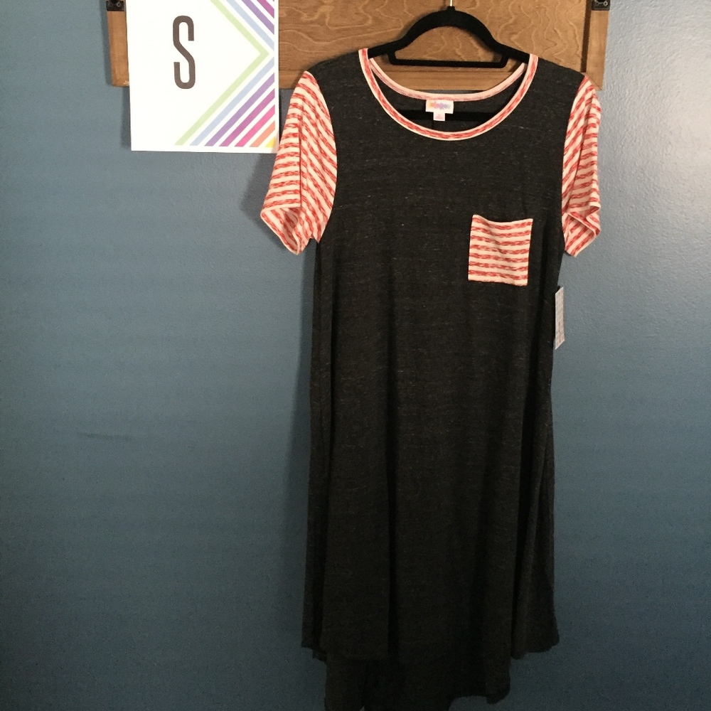 NWT LuLaRoe S Carly Dress
